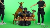 浓眉水拉彪哥上恶搞节目🤣工作人员牵羊来让彪哥谈老詹GOAT